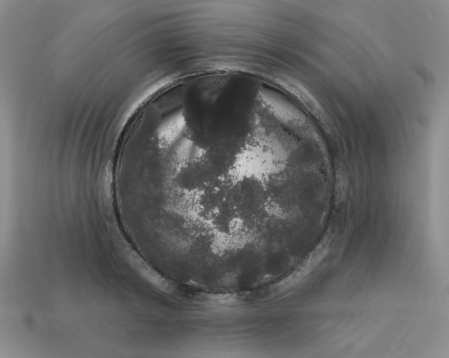 X0000113980798200910161621