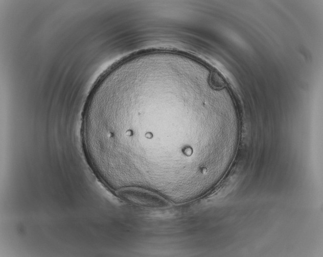 X0000113980799200910161621