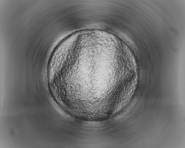 X0000113980800200910161621