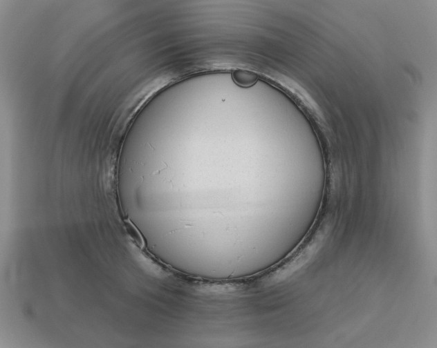 X0000113980801200910161621