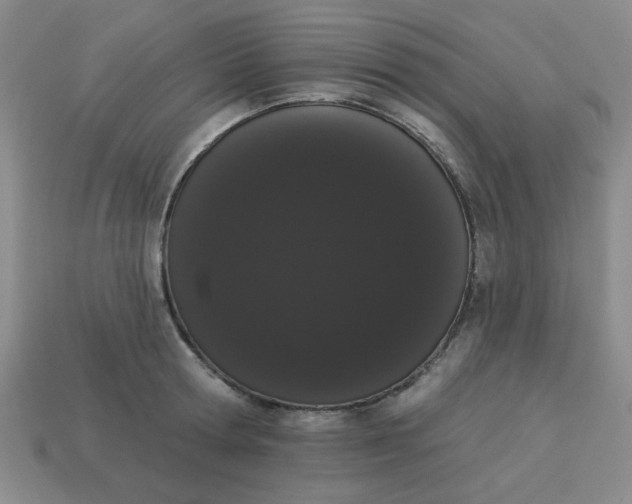 X0000113980802200910161621