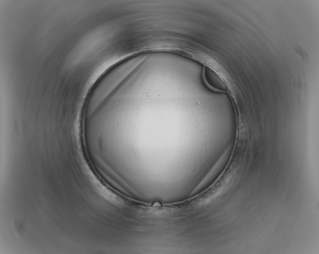 X0000113980803200910161621