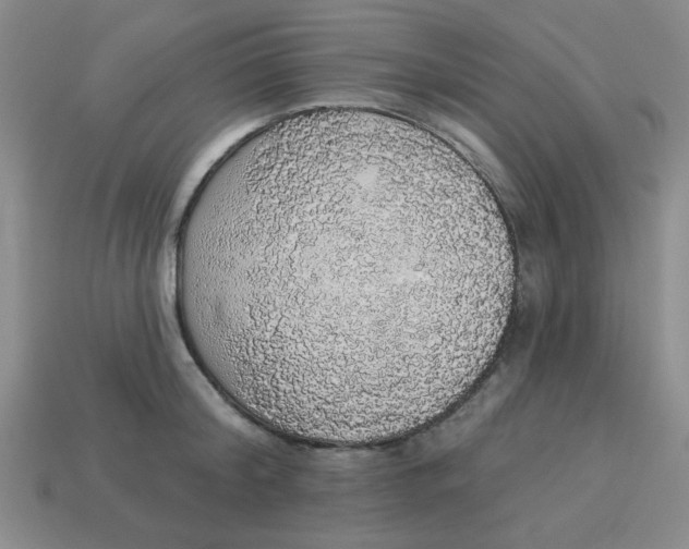 X0000113980804200910161621