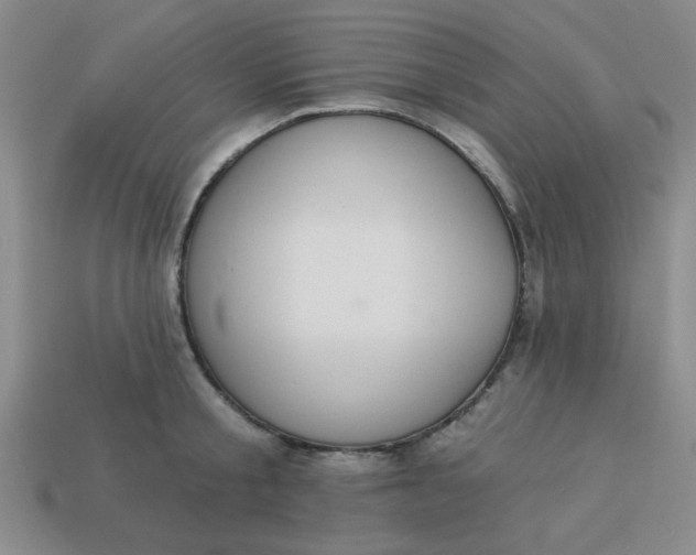 X0000113980805200910161621