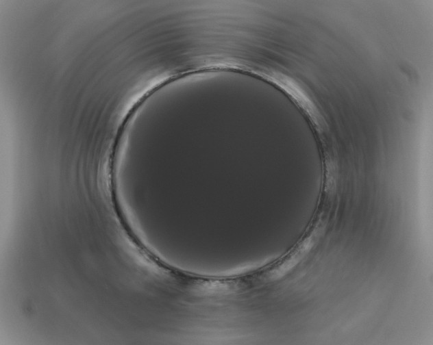 X0000113980806200910161621