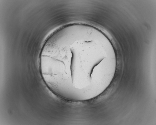 X0000113980807200910161621