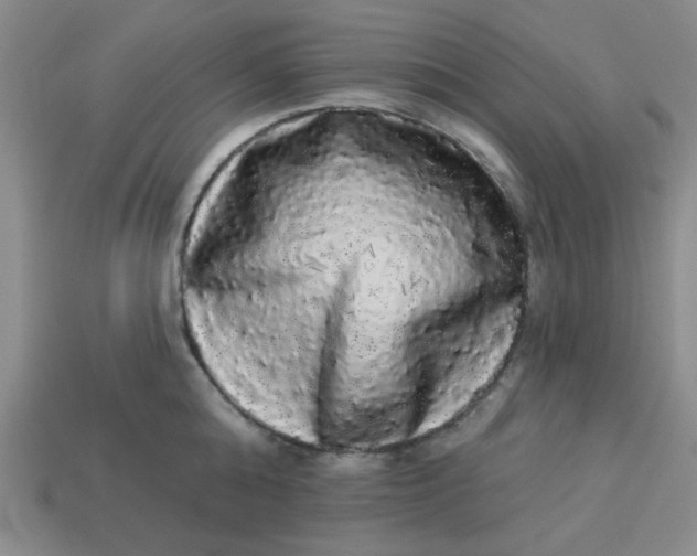 X0000113980808200910161621