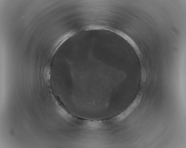 X0000113980809200910161621