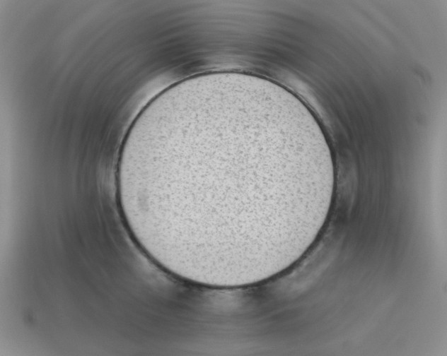 X0000113980810200910161621