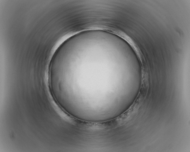 X0000113980811200910161621