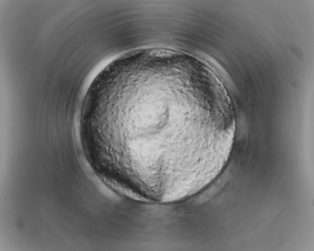 X0000113980812200910161621