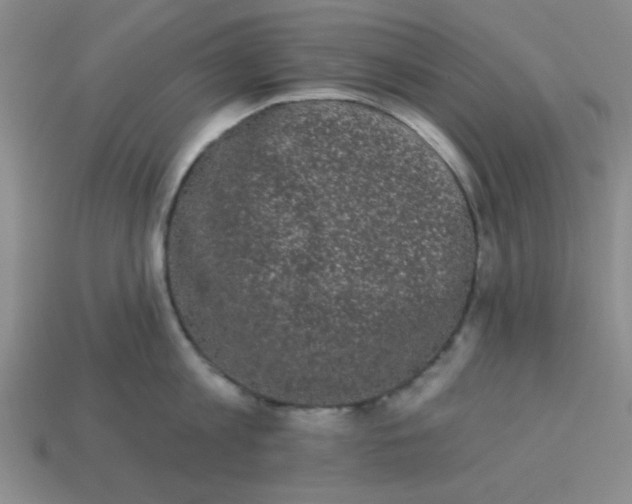 X0000113980813200910161621