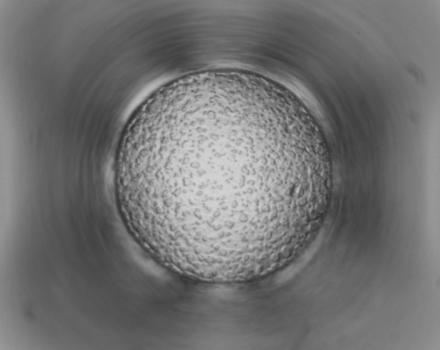 X0000113980814200910161621