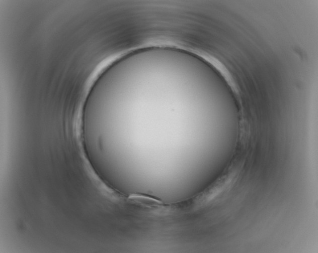 X0000113980815200910161621