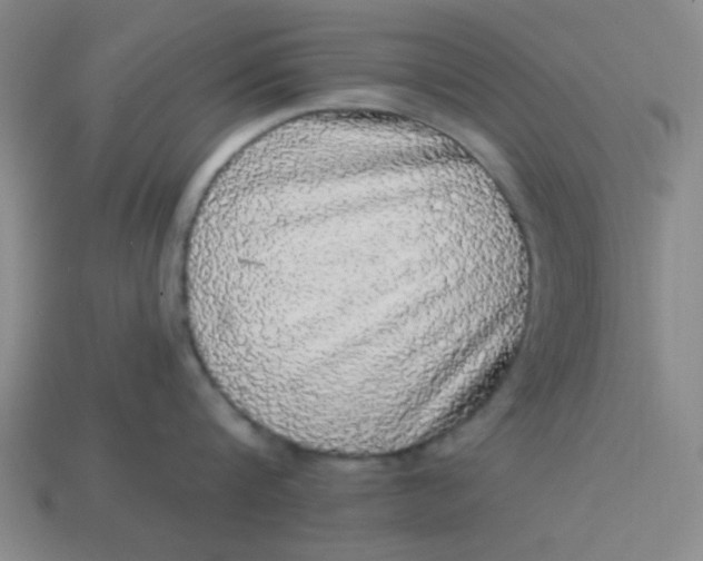 X0000113980816200910161621