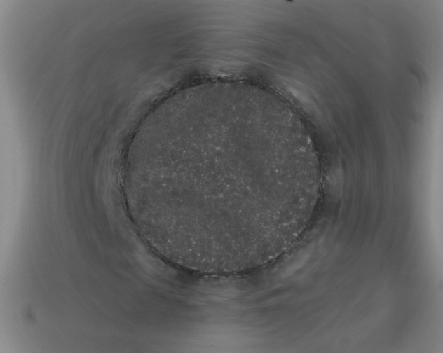 X0000113980817200910161620