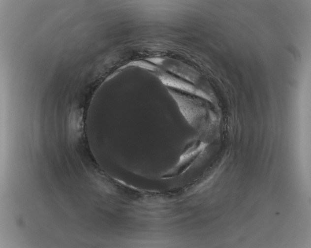 X0000113980818200910161620