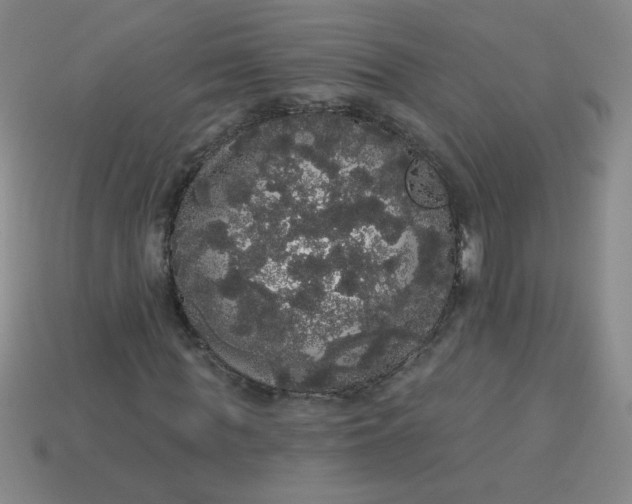 X0000113980819200910161620