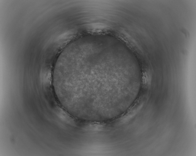 X0000113980820200910161620