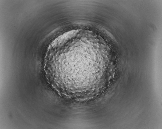 X0000113980821200910161620