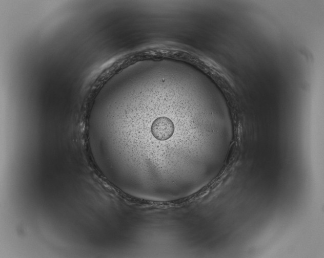 X0000113980822200910161620