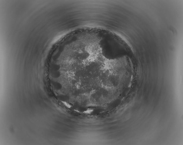 X0000113980823200910161620