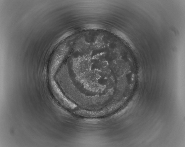 X0000113980825200910161620