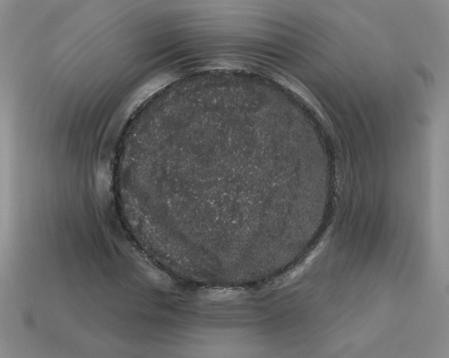 X0000113980826200910161620