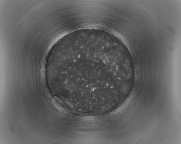 X0000113980827200910161620