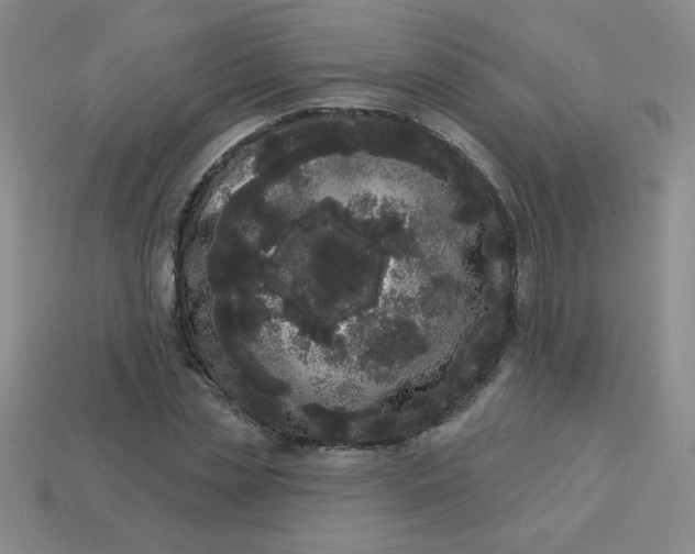 X0000113980829200910161620