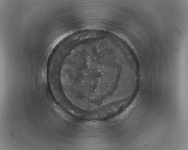 X0000113980830200910161620