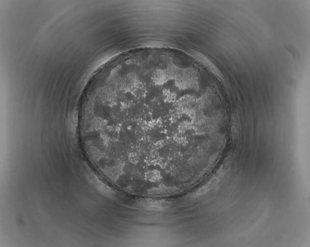 X0000113980831200910161620