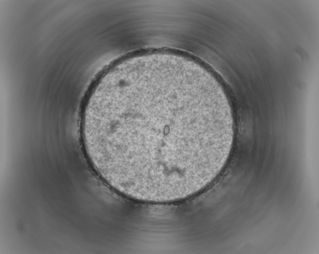 X0000113980832200910161620