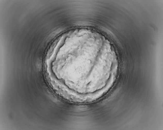 X0000113980833200910161620