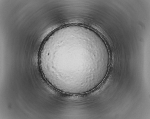 X0000113980834200910161621