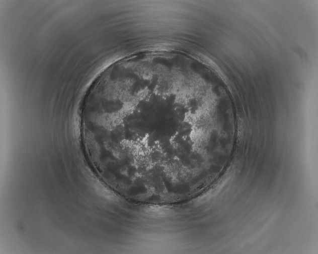 X0000113980835200910161621