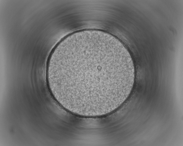 X0000113980836200910161621