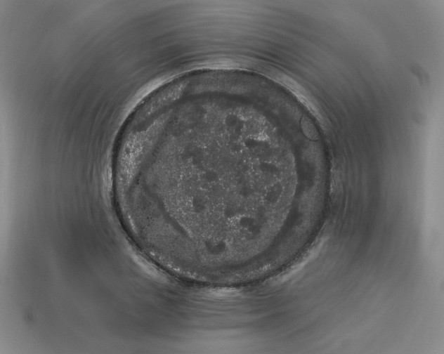 X0000113980837200910161621