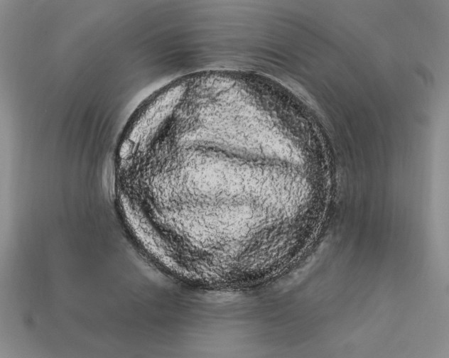 X0000113980838200910161621