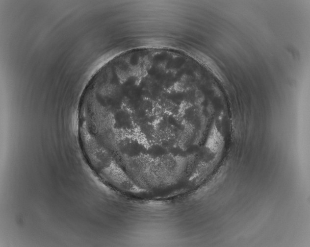 X0000113980839200910161621