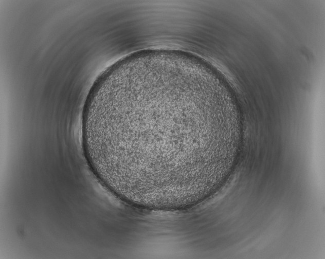 X0000113980840200910161621