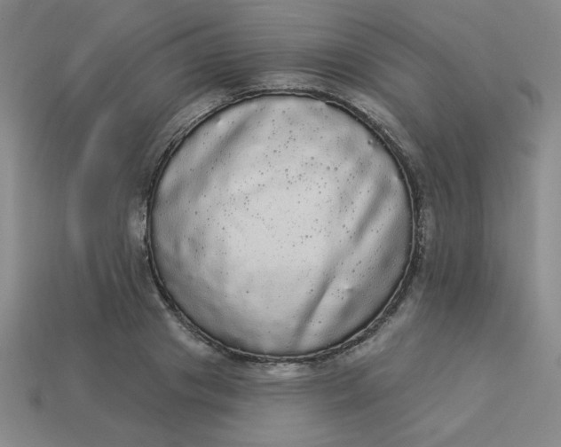 X0000113980841200910161621