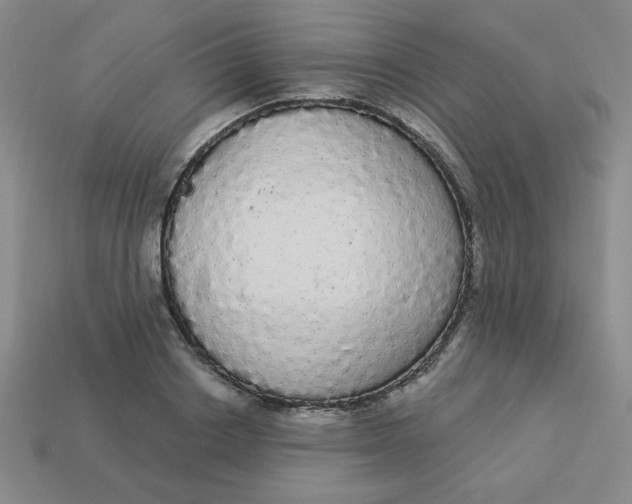 X0000113980842200910161621