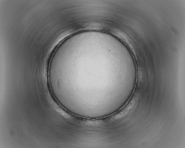 X0000113980843200910161621