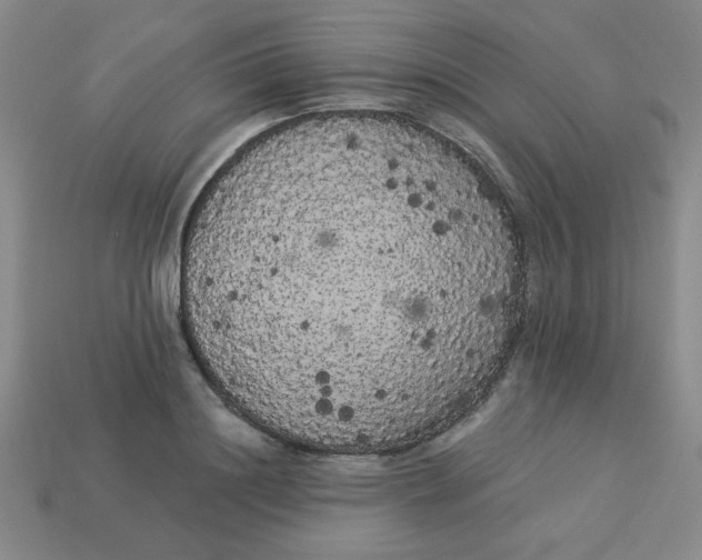 X0000113980844200910161621