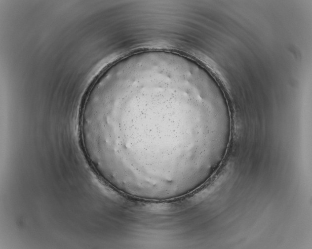 X0000113980845200910161621