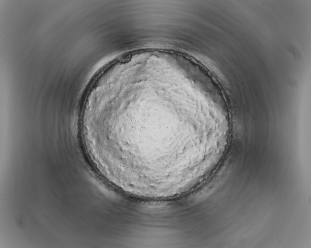 X0000113980846200910161621