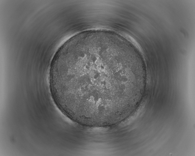 X0000113980847200910161621