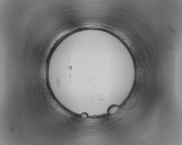 X0000113980848200910161621