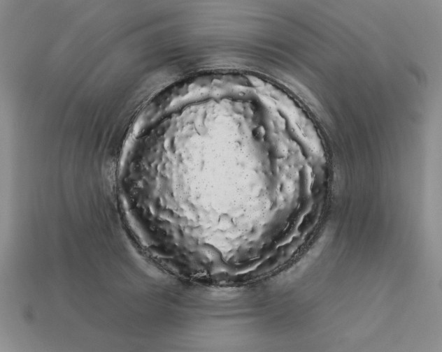 X0000113980849200910161621